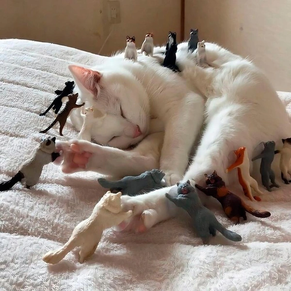 Источник: соцсети