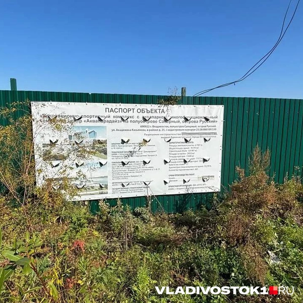 Источник: Елена Буйвол / VLADIVOSTOK1.RU