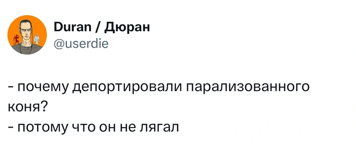 Источник: X (Twitter)