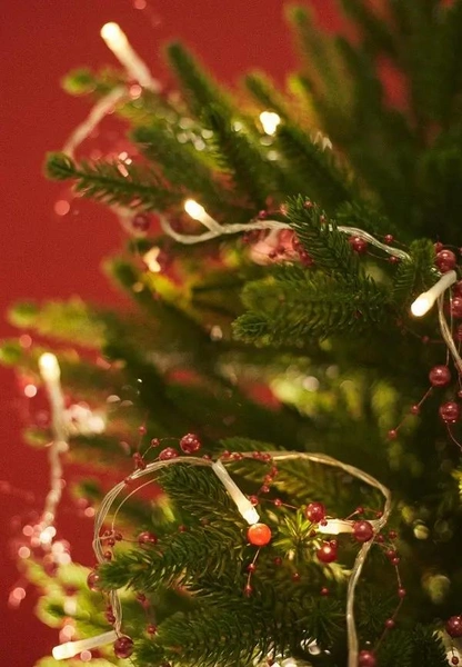 Гирлянда, Magic Time