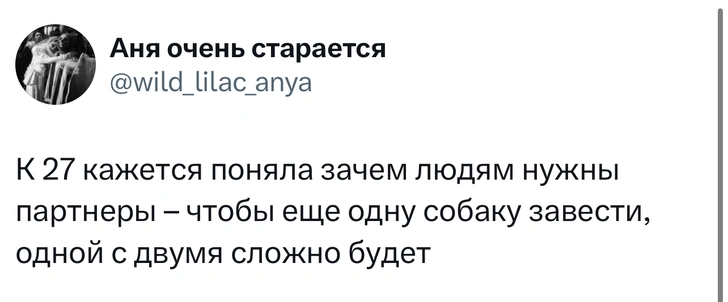 Источник: X (Twitter)