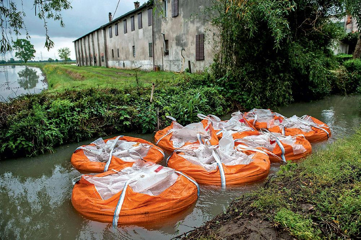 Мокрое дело: как выращивают рис в Италии