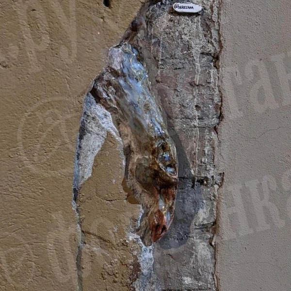 Источник: предоставлено «Фонтанке»