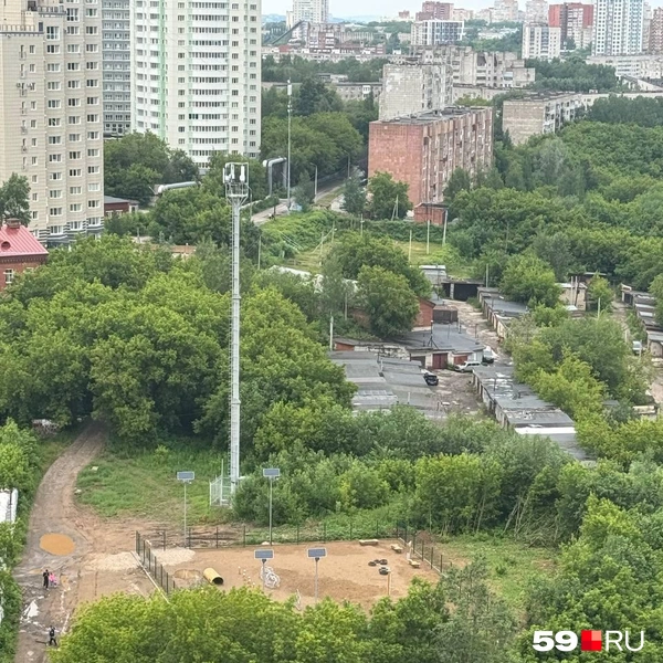 Собачья площадка за домом | Источник: читатель 59.RU