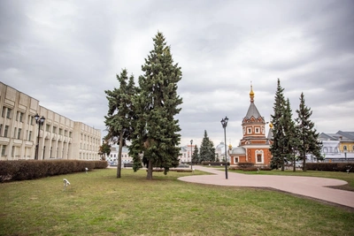 В Ярославле началась обработка от клещей