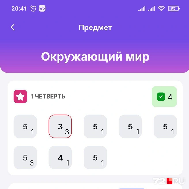 Источник: читатель 72.ru