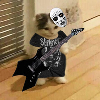 Аватарка котенок