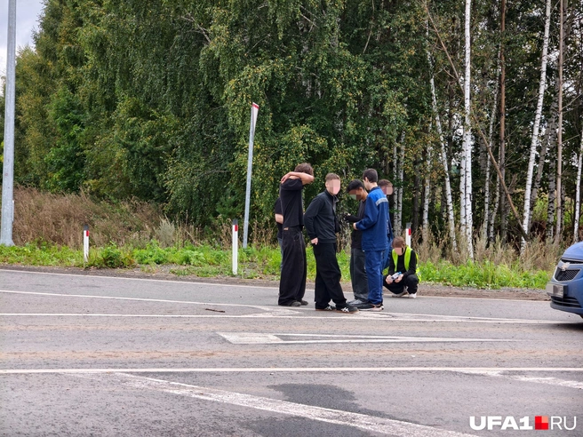 Одни живут в Уфе, другие в Благовещенске | Источник: Булат Салихов / UFA1.RU