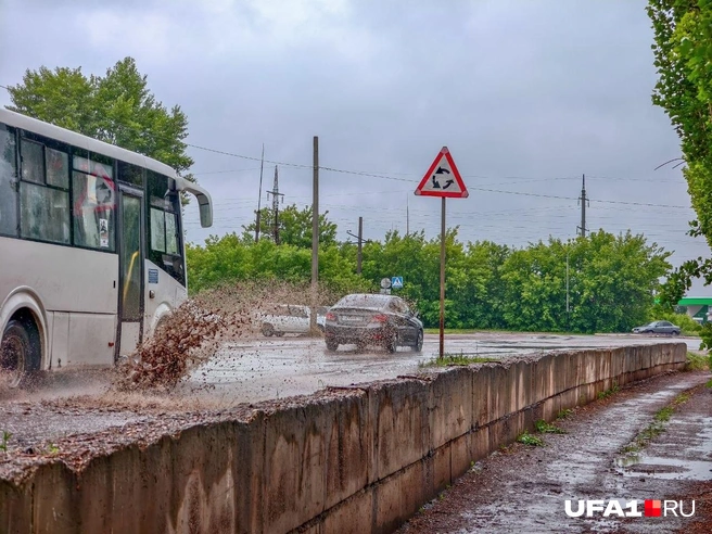 Главное в этот момент не идти навстречу | Источник: Булат Салихов / UFA1.RU