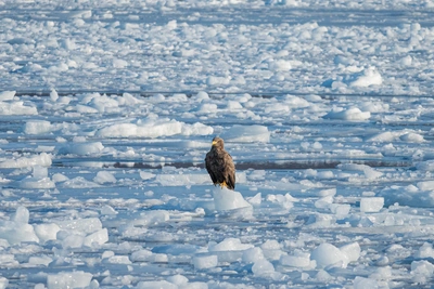 Приморье ждут снег и гололед в субботу