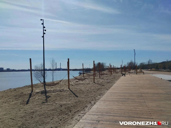 Так гамаки выглядели в апреле | Источник: Дмитрий Волгин / Voronezh1.ru