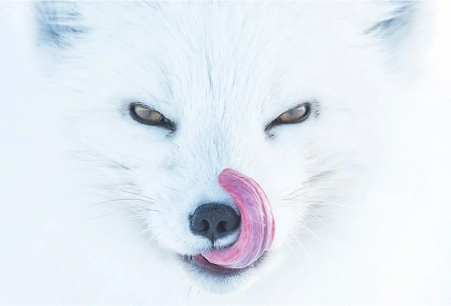 Источник: Peter Mather / bigpicturecompetition.org