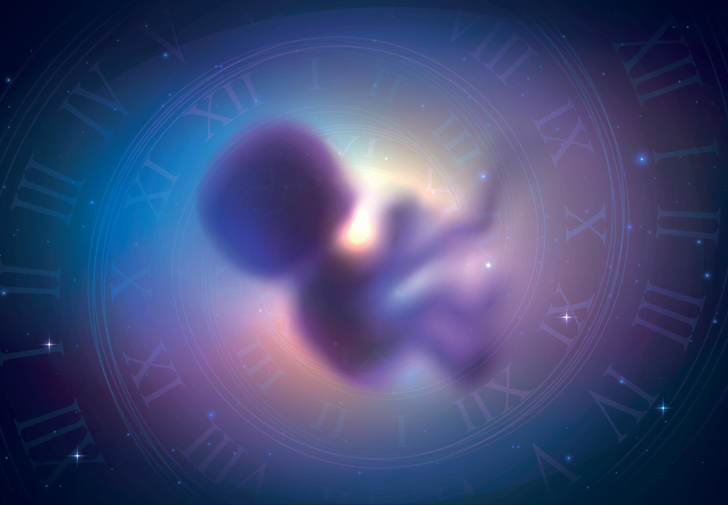 Что происходит с нами до рождения и как во время беременности формируется судьба ребенка