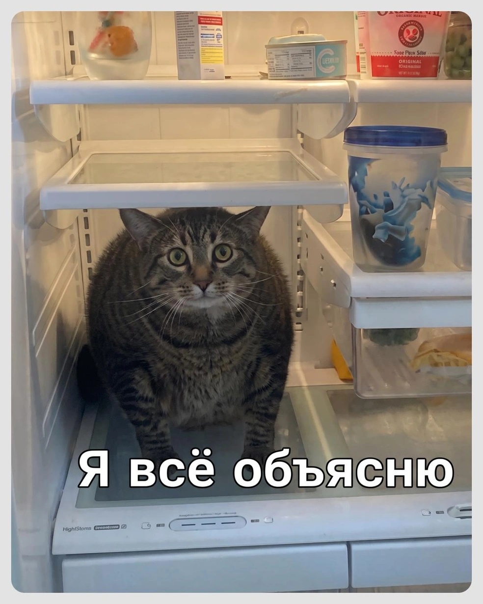 Ваши версии? | Источник: Городские медиа