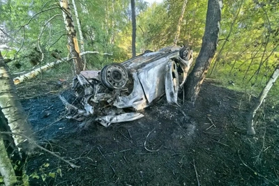 17-летний водитель сгорел заживо после ДТП в Панинском районе