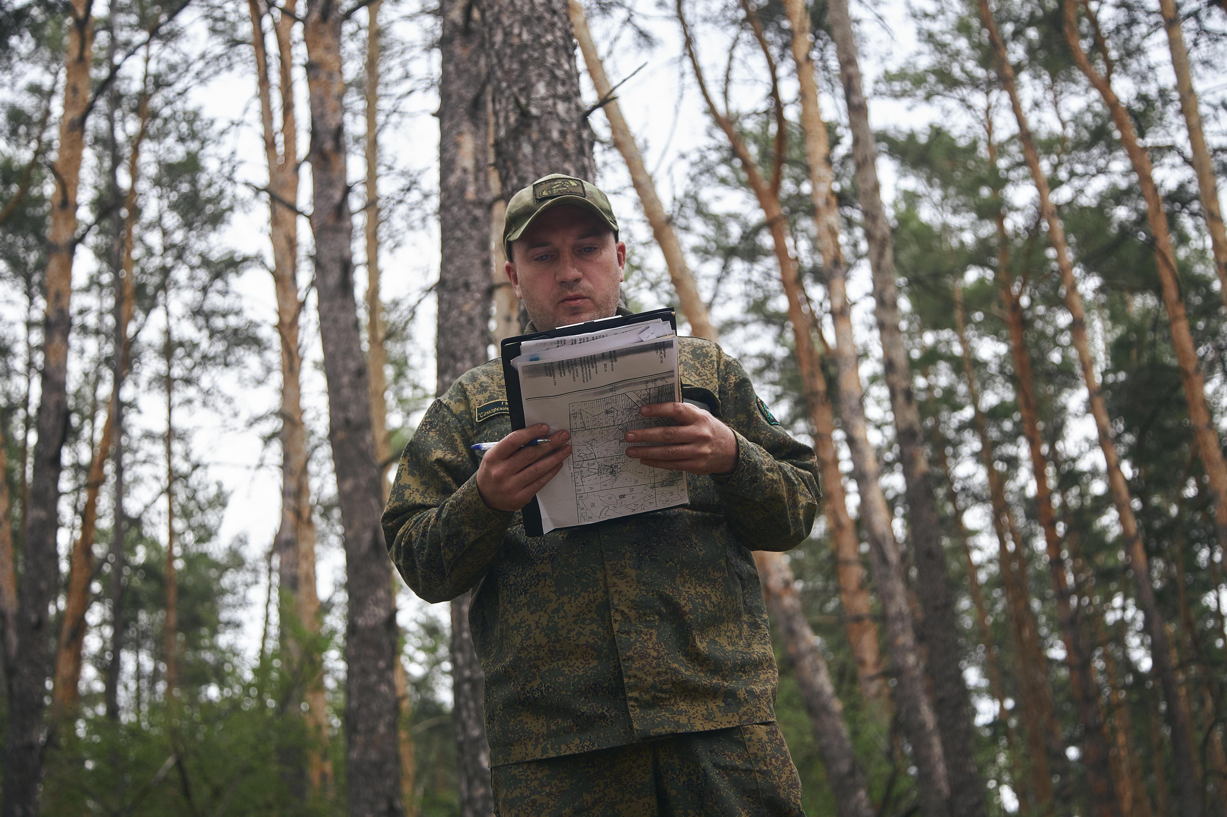 «Человек, находясь в лесу, ни о чем не задумывается»: кто и как в Самарской области спасает деревья от людей — видео