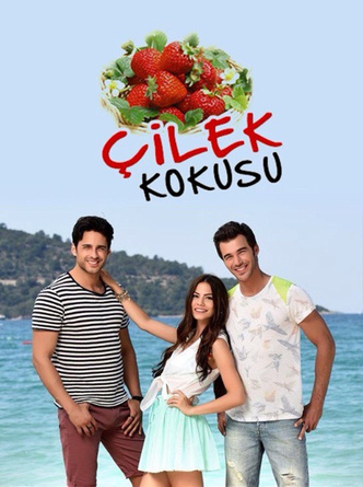 Лучшие турецкие сериалы, которые заставят бороться за любовь 💗