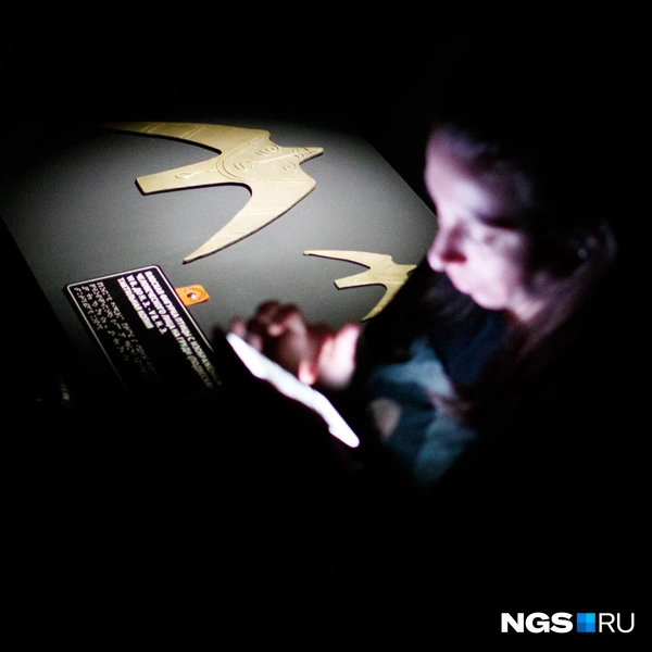 Выставка будет работать полгода | Источник: Андрей Бортко / NGS.RU