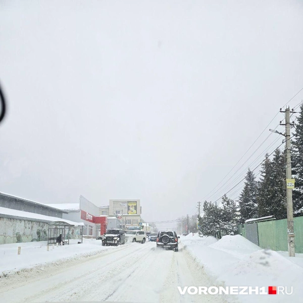 Источник: Ирина Булгакова /Voronezh1.ru