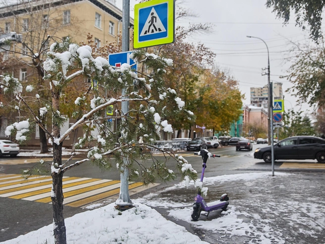 В регионе циклоны регулярно сменяют друг друга | nsk54.online