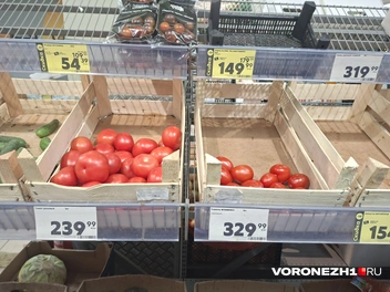 Источник: Алёна Воропаева / Voronezh1.ru