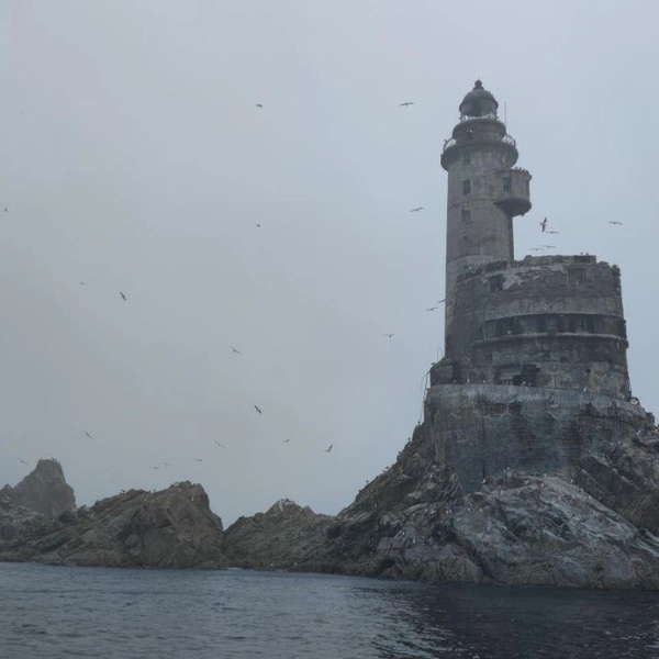 Источник: Павел Каравашкин / Фонтанка.ру