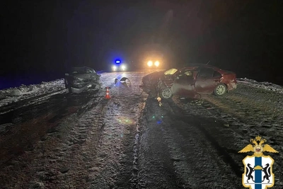 ДТП с Toyota в Новосибирской области: двое погибших