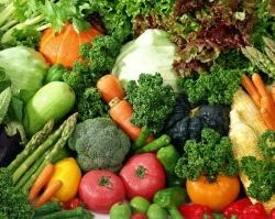 В Свердловской области построят новые овощехранилища на 6 тысяч тонн продукции | www.e1.ru