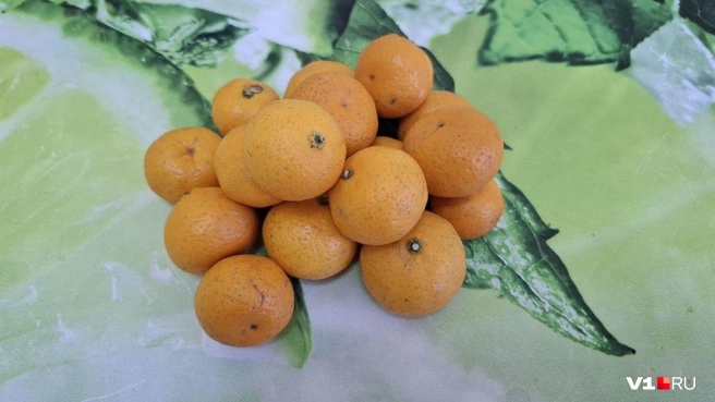 «Раньше мандарины были настоящими и витамины в них не подделывали», — сетуют более пожилые дегустаторы | Источник: Тимофей Крылов / V1.RU