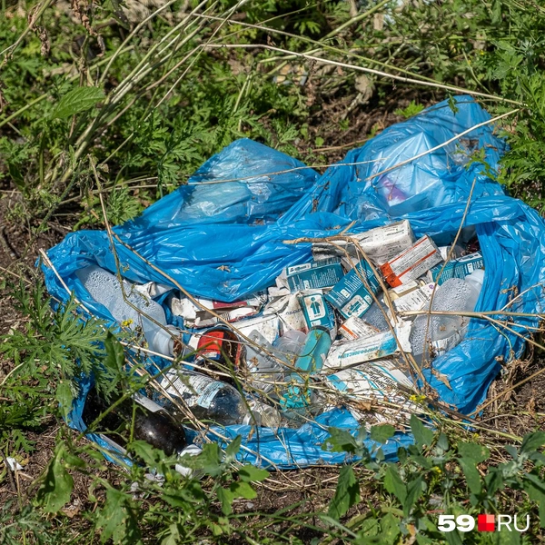 Источник: Василина Любимова / 59.RU