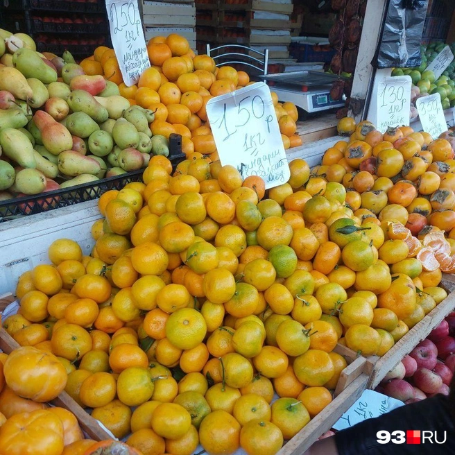 Источник: Екатерина Железнова / 93.RU