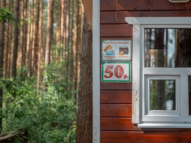 В 2026 году стоимость туалета повысили до 50 рублей (в 2025 году было 20) | Источник: Александр Куренной / 76.RU