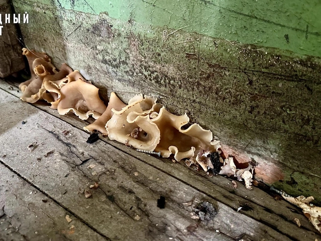 Так выглядел зал около полутора лет назад, когда из-за влажности в нём росли грибы. | Источник: «Народный фронт | Ярославская область» / Vk.com