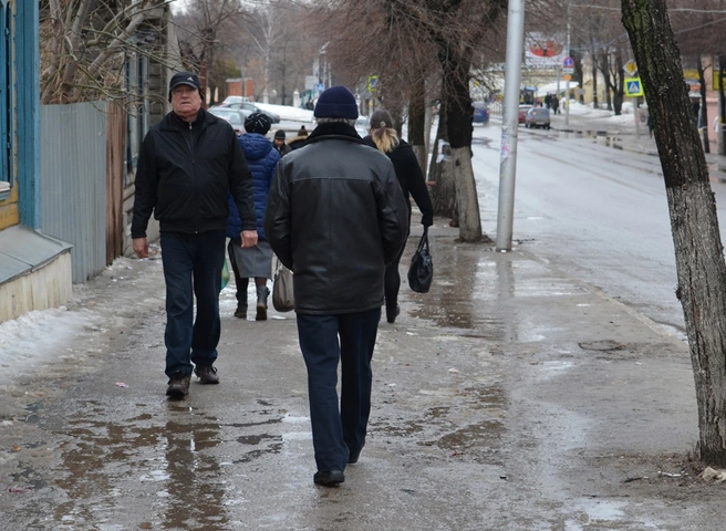 В воскресенье в Рязанской области потеплеет до +4 °С | ya62.ru