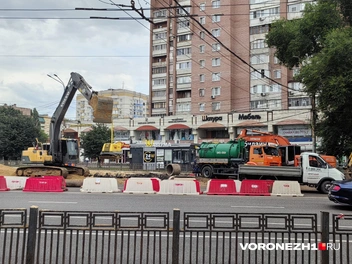 Источник: читатель Voronezh1.ru