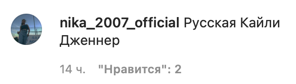 Точная копия: Инстасамку сравнили с Кайли Дженнер