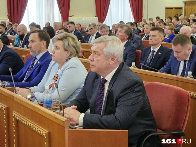 Источник: Анатолий Карбинов / 161.RU