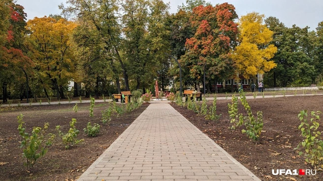Можно шагнуть в золотую осень