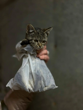 Источник: предоставлено Мариной Золотухиной