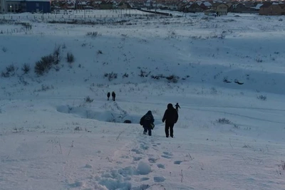 Глава СК Бастрыкин запросил детали гибели детей Яны Павловой