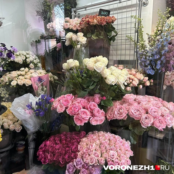 Источник: Мария Мишукова / Voronezh1.ru