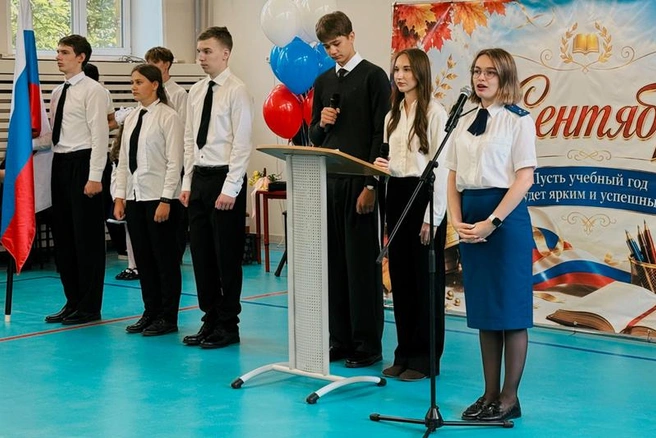 Источник: st.cherinfo.ru
