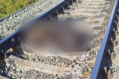В Свердловской области погибли три медведя