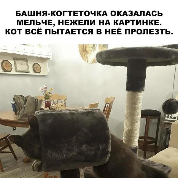 Источник: соцсети