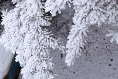 Ульяновские школы могут отменить занятия из-за морозов до -29°C