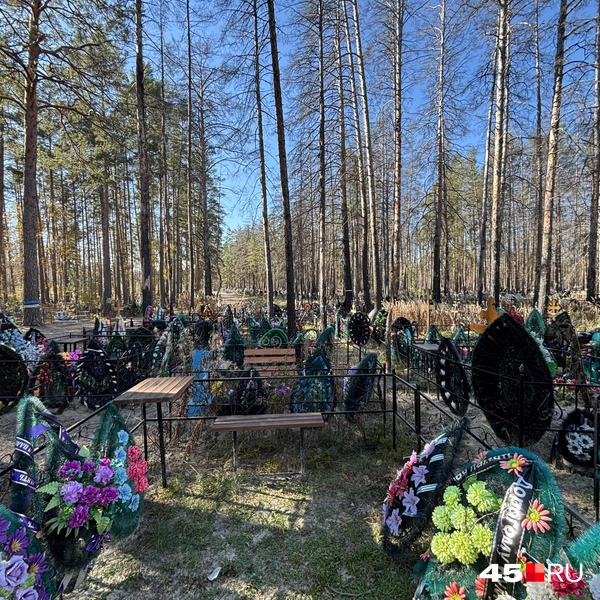 Источник: Кирилл Митин