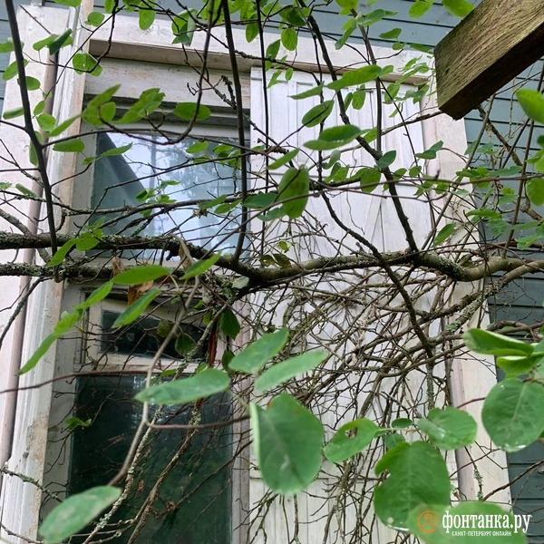 Источник: читатель «Фонтанки»