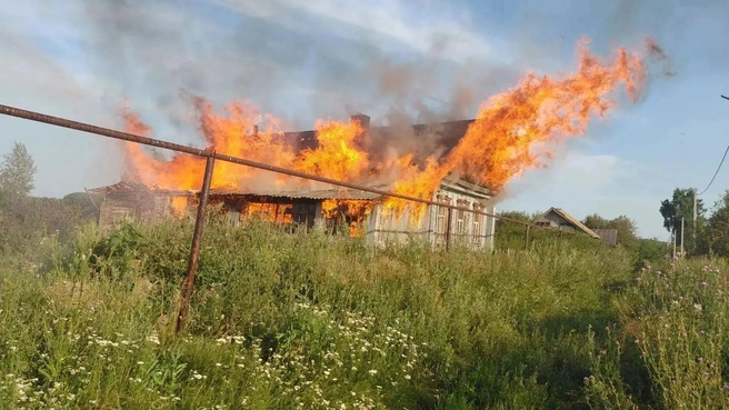 Обстановку осложняли находящиеся рядом провода, газовая труба, поросший травой двор и сильная жара | Источник: Центр по делам гражданской обороны, пожарной безопасности и чрезвычайным ситуациям