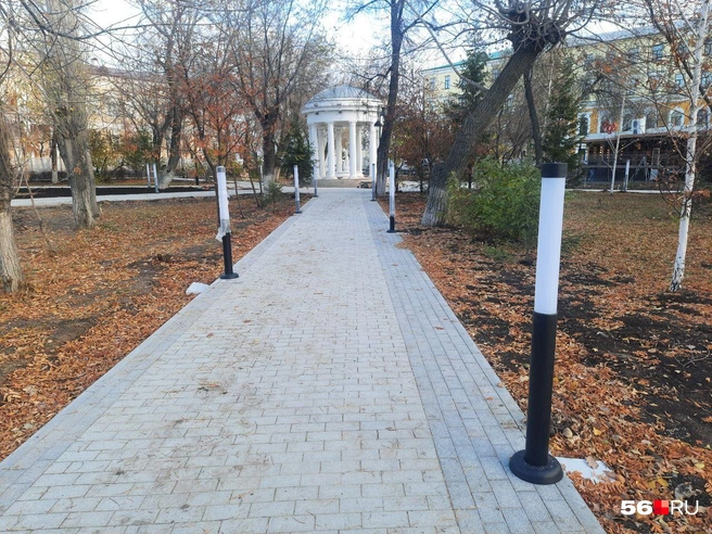 Источник: Анастасия Баринова / 56.RU