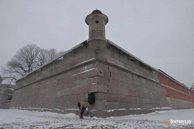 Источник: Андрей Бок /«Фонтанка.ру»